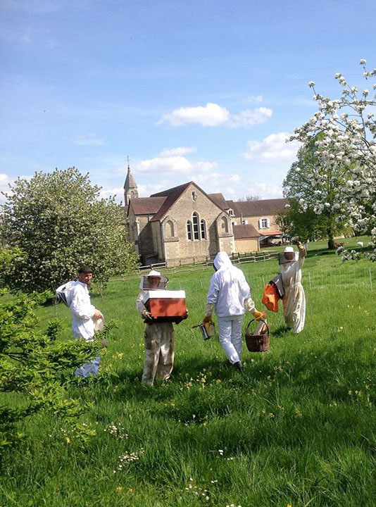 formation abeille rucher